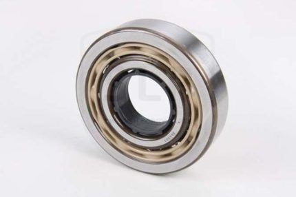 11103021 - BRG-021 ROLLER BEARING