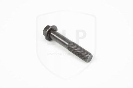 21344746 - SKR-746 SCREW