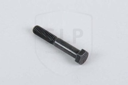 955538 - SKR-538 SCREW