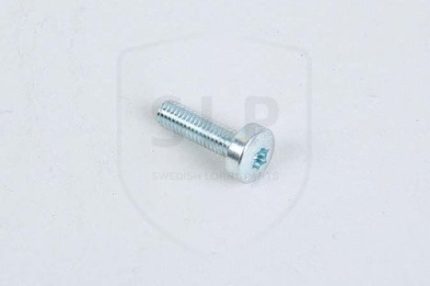 969147 - SKR-147 SCREW