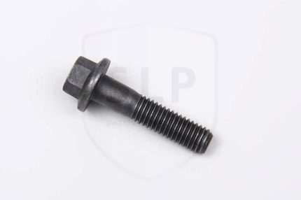 975199 - SKR-199 SCREW